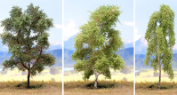 Einzelbäume