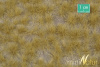 morepic-1