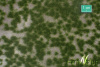 morepic-1