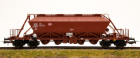 morepic-1