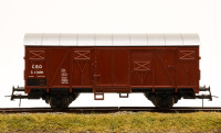 morepic-1