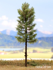 Der Modellbaum. – Lärche Solitär, Hochstamm, Sommer, 15-60 cm | 