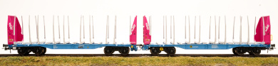 Sudexpress S657325 – Doppel-Holztransportwagen Sggmrrs der Innofreight Smart GigaWood 