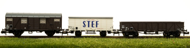 Fleischmann 880904 (N) – 3-teiliges Güterwagen-Set der SNCF 
