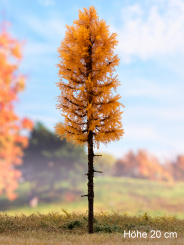 Der Modellbaum. – Lärche Wald, Hochstamm, Herbst, orange, 10-60 cm | 
