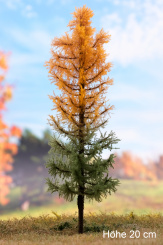 Der Modellbaum. – Lärche Solitär, Vollstamm, Herbst, orange-grün, 15-60 cm | 