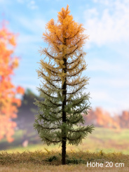 Der Modellbaum. – Lärche Solitär, Vollstamm, Herbst, orange-Übergang-grün, 15-60 cm | 