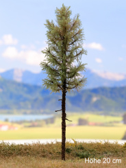 Der Modellbaum. – Lärche Wald, Hochstamm, Sommer, 10-60 cm | 