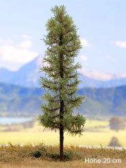 Der Modellbaum. – Lärche Wald, Vollstamm, Sommer, 10-60 cm | 