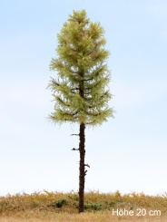 Der Modellbaum. – Lärche Solitär, Hochstamm, Frühling, 15-60 cm | 