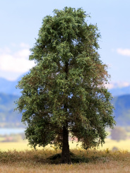 Der Modellbaum. – Linde mit Wurzel, Sommer, 20-60 cm | 