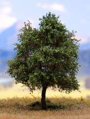 Der Modellbaum. – Linde, 1-3 stämmig, Sommer, 10-25 cm | 