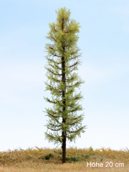 Der Modellbaum. – Lärche Wald, Vollstamm, Frühling, 10-60 cm | 