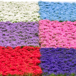 RTS 84931 – Blütenbüschel Steingarten, Höhe 2-6 mm, Matte 148 x 210mm 