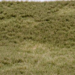 RTS 92632-4 – High-End Grasmatte Frühherbst lang, Höhe 2-6 mm, A4 