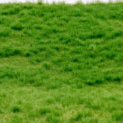 RTS 92612-4 – High-End Grasmatte Frühsommer lang, Höhe 2-6 mm, A4 