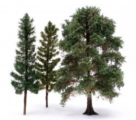 Der Modellbaum. – 3-teiliges Kennenlern-Set Nadel- und Laubbaum, Höhe ca. 20 cm 