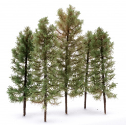 Der Modellbaum. – 5-teiliges Lärchen-Set, Höhe ca. 20 - 25 cm, Ausführung Solitär & Wald 