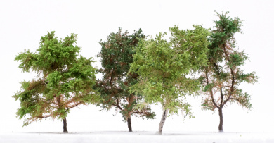 Der Modellbaum. – 4-teiliges Laubbaum-Set, Höhe ca. 10 cm 