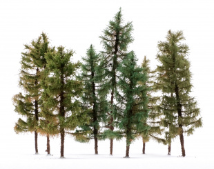 Der Modellbaum. – 9-teiliges Nadelbaum-Set, Höhe ca. 10 cm, Ausführung Solitär & Wald 