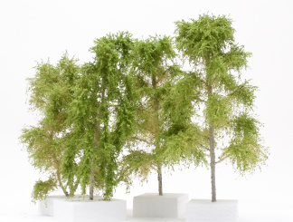 Der Modellbaum. – 4-teiliges Birken-Set, Höhe ca. 20 cm, Sommer 