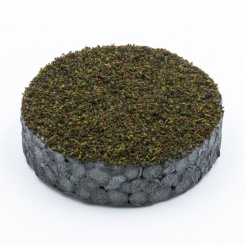 RTS 71871-0 – Micro-Turf Waldboden Nadelwald, 350 ml Shaker 