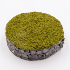 RTS 71090 – Nano-Turf strauchgrün, 15 g Beutel 