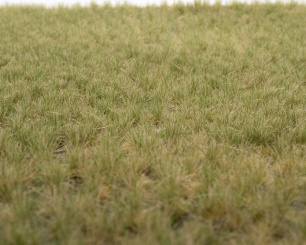 RTS 82132 – Grasbüschel Frühherbst, 2-6 mm, Inhalt: 148 x 210 mm 