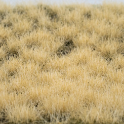 RTS 82162 – Grasbüschel trocken, 4-7 mm, Inhalt: 148 x 210 mm 