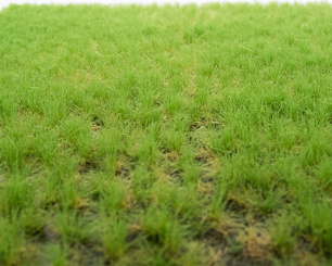 RTS 82102 – Grasbüschel Frühling, 2-6 mm, Inhalt: 148 x 210 mm 