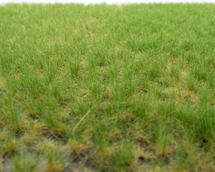 RTS 82112 – Grasbüschel Frühsommer, 2-6 mm, Inhalt: 148 x 210 mm 