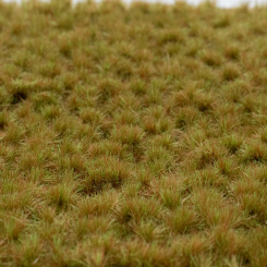 RTS 84501 – Blütenbüschel Heidekraut, Höhe 2-4 mm, Matte 148 x 210 mm 