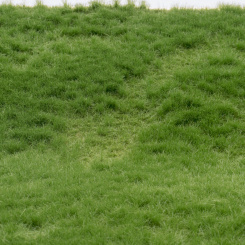 RTS 92622-3 – High-End Grasmatte Sommer lang, Höhe 2-6 mm, Format A3 
