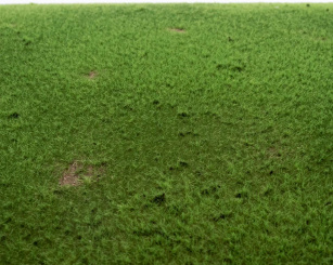 RTS 92532-3 – High-End Grasmatte Viehweide, Spur H0 / 0, Format A3 