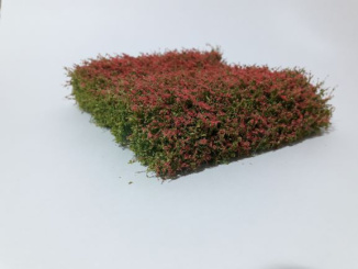 miniNatur 250-48 – Sträuchermatte blühend rot, ca. 12 x 14 cm, Höhe 2,5 cm 