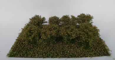 miniNatur 252-23 – Sträucher Frühherbst, Höhe 3 cm, 8 Stück 