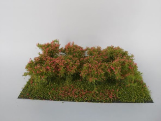 miniNatur 252-27 – Sträucher blühend rot, Höhe 3 cm, 8 Stück 