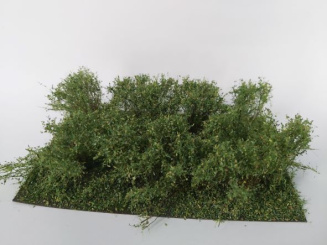 miniNatur 252-32 – Gestrüpp Sommer, Höhe 4 cm, 8 Stück 