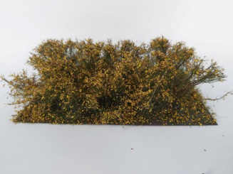 miniNatur 252-34 – Gestrüpp Spätherbst, Höhe 4 cm, 8 Stück 