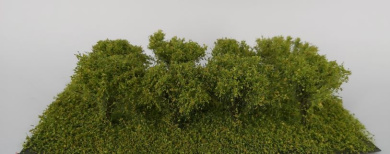 miniNatur 252-41 – Micro-Büsche Frühling, Höhe 1,5 cm, 8 Stück 