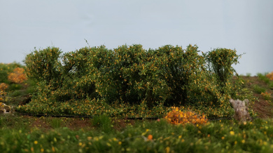 miniNatur 254-33 (H0/0) – Hecke Frühherbst, Höhe 4 cm 