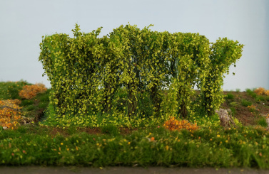 miniNatur 254-41 (0/1) – Hecke Frühling, Höhe 8-9 cm 