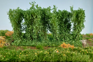 miniNatur 254-42 (0/1) – Hecke Sommer, Höhe 8-9 cm 