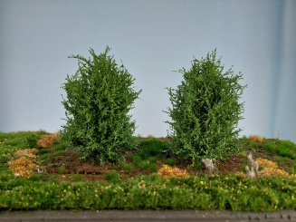 miniNatur 350-42 (0/1) – Büsche Sommer, Höhe 8-10 cm, 2 Stück 