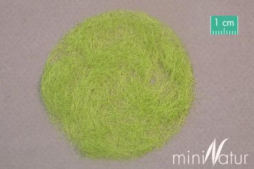 miniNatur 006-31 – Gras-Flock Frühling, 6,5 mm, 50 g Beutel 