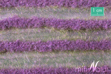 miniNatur 792-22 – Lavendelfeld Sommer, Streifen, ca. 336 cm  