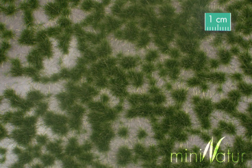 miniNatur 737-22 – Karstbüschel Sommer, ca. 42 x 15 cm 