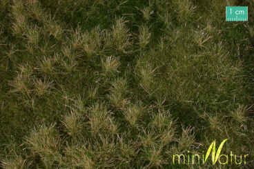 miniNatur 733-23S – Auenwiese-Matte Frühherbst, ca. 25 x 15,5 cm 