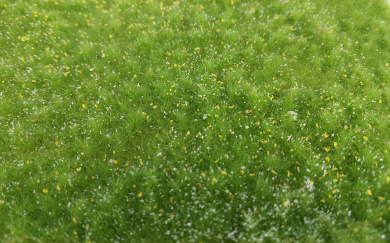 miniNatur 611-21S – Naturwiese niedrig, Matte 17 x 26 cm, Frühling 