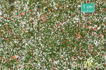 MiniNatur 611-32S – Naturwiese hoch, Matte 17 x 26 cm, Sommer 